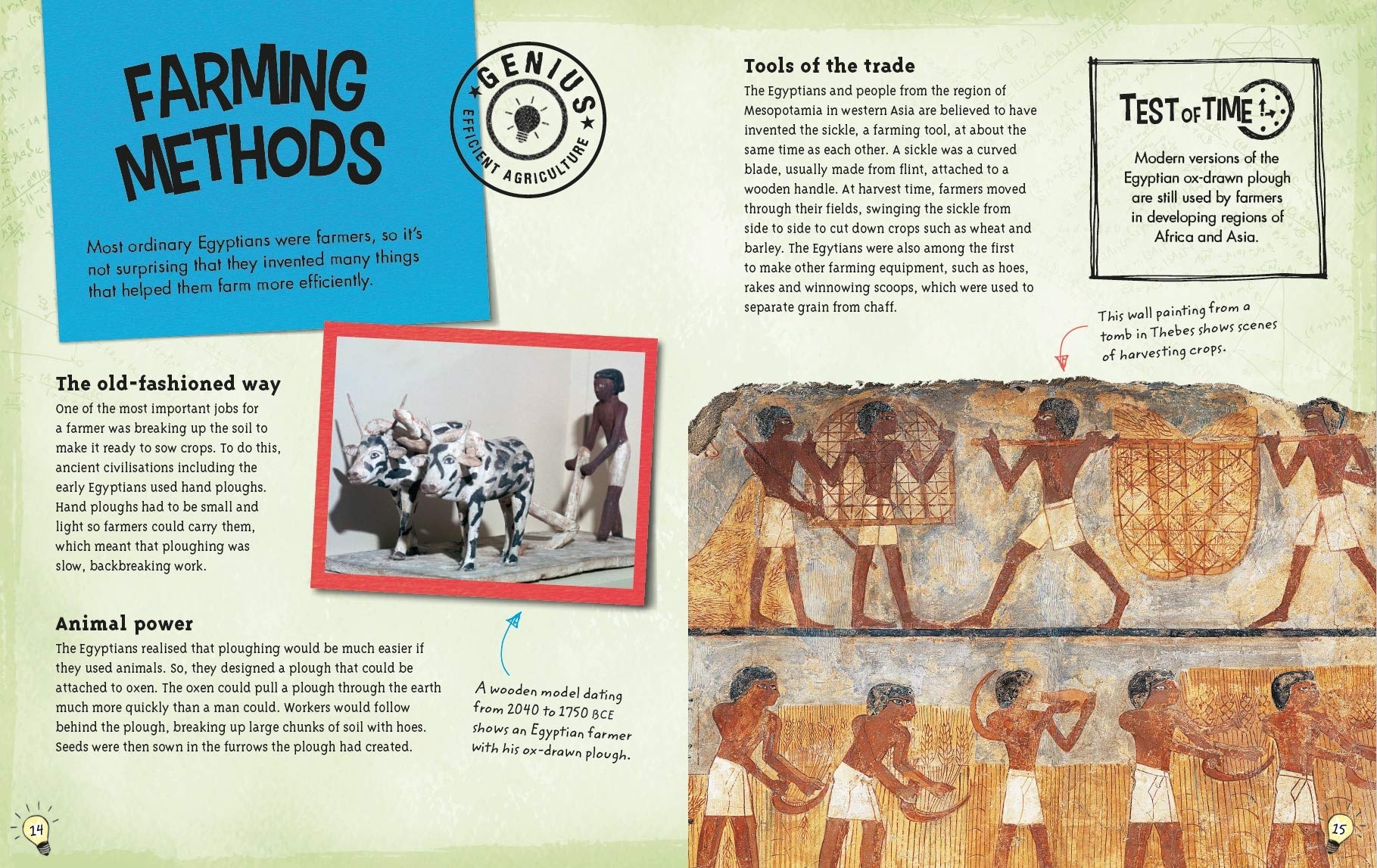 the ancient egyptians: clever ideas and inventions from past civilisations (the genius of)