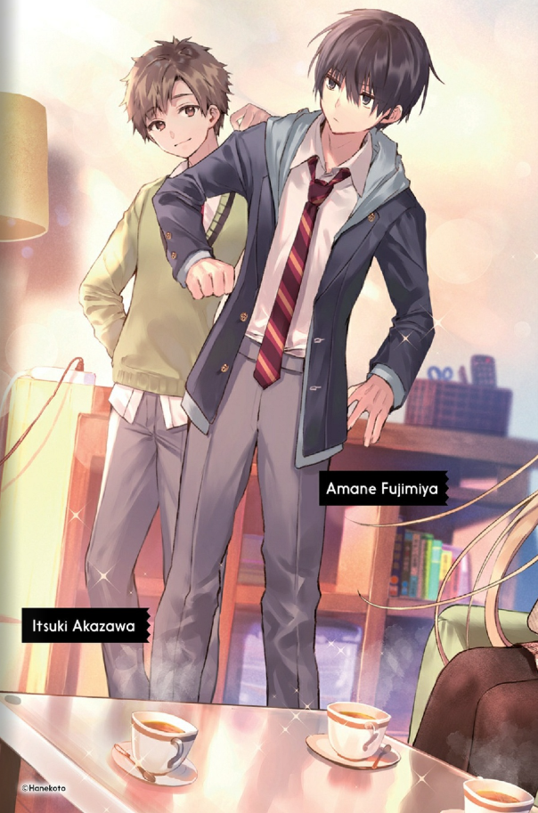 the angel next door spoils me rotten 2 (light novel - english edition)