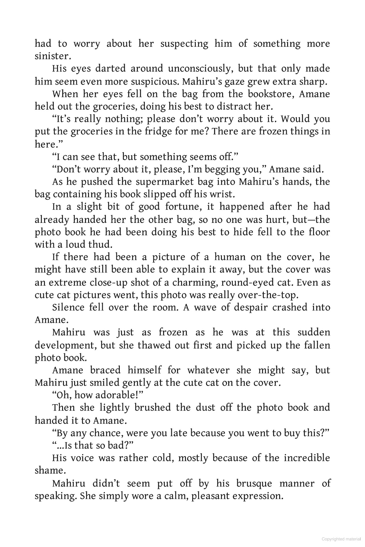 the angel next door spoils me rotten 5.5 (light novel - english edition)