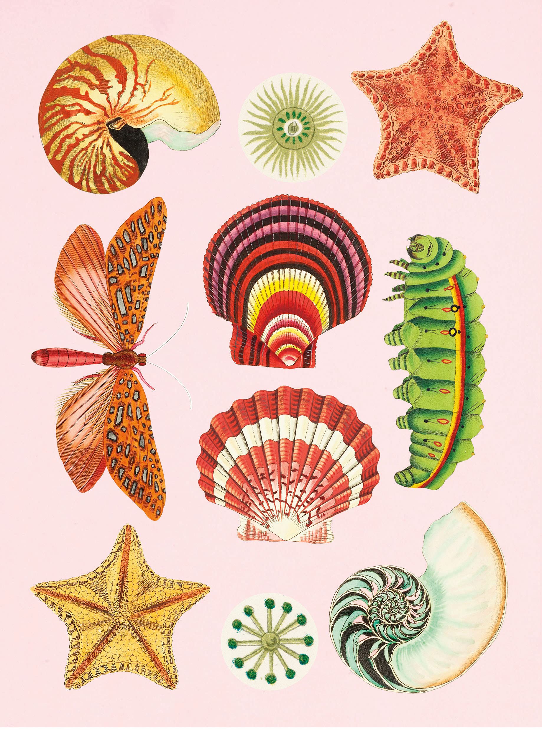 the antiquarian sticker book: over 1,000 exquisite victorian stickers