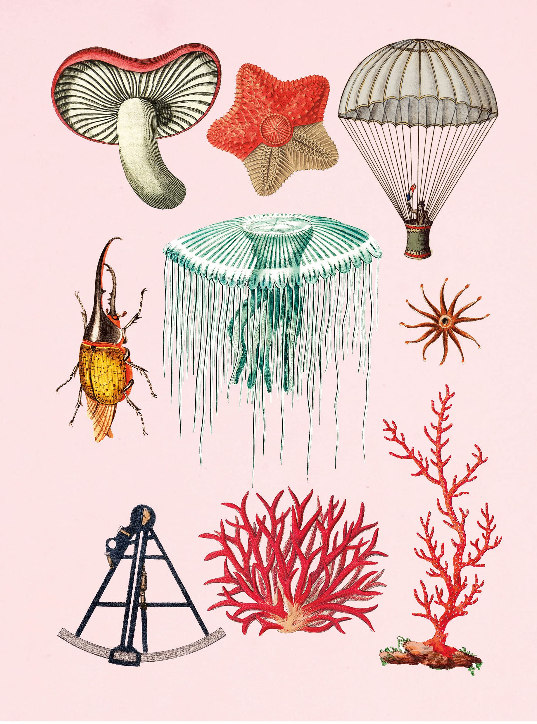 the antiquarian sticker book: over 1,000 exquisite victorian stickers