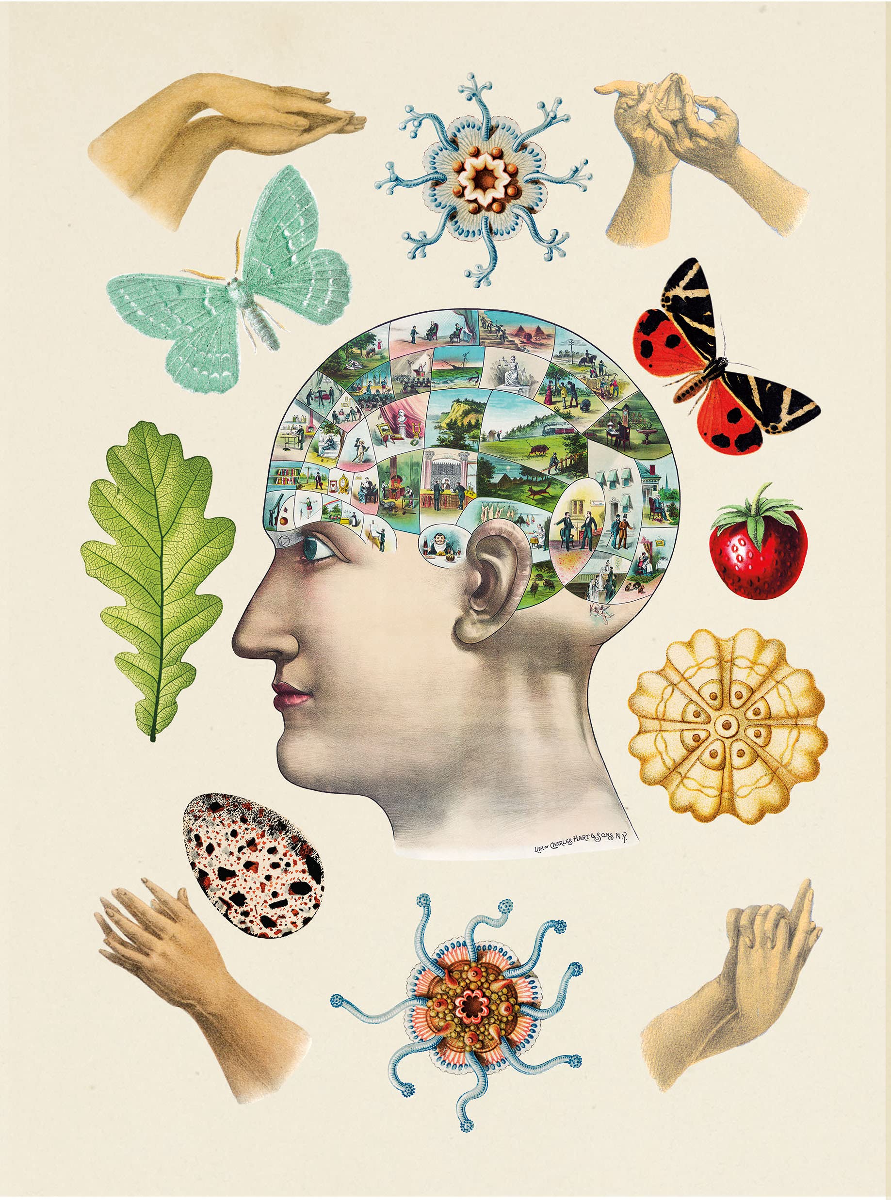 the antiquarian sticker book: over 1,000 exquisite victorian stickers