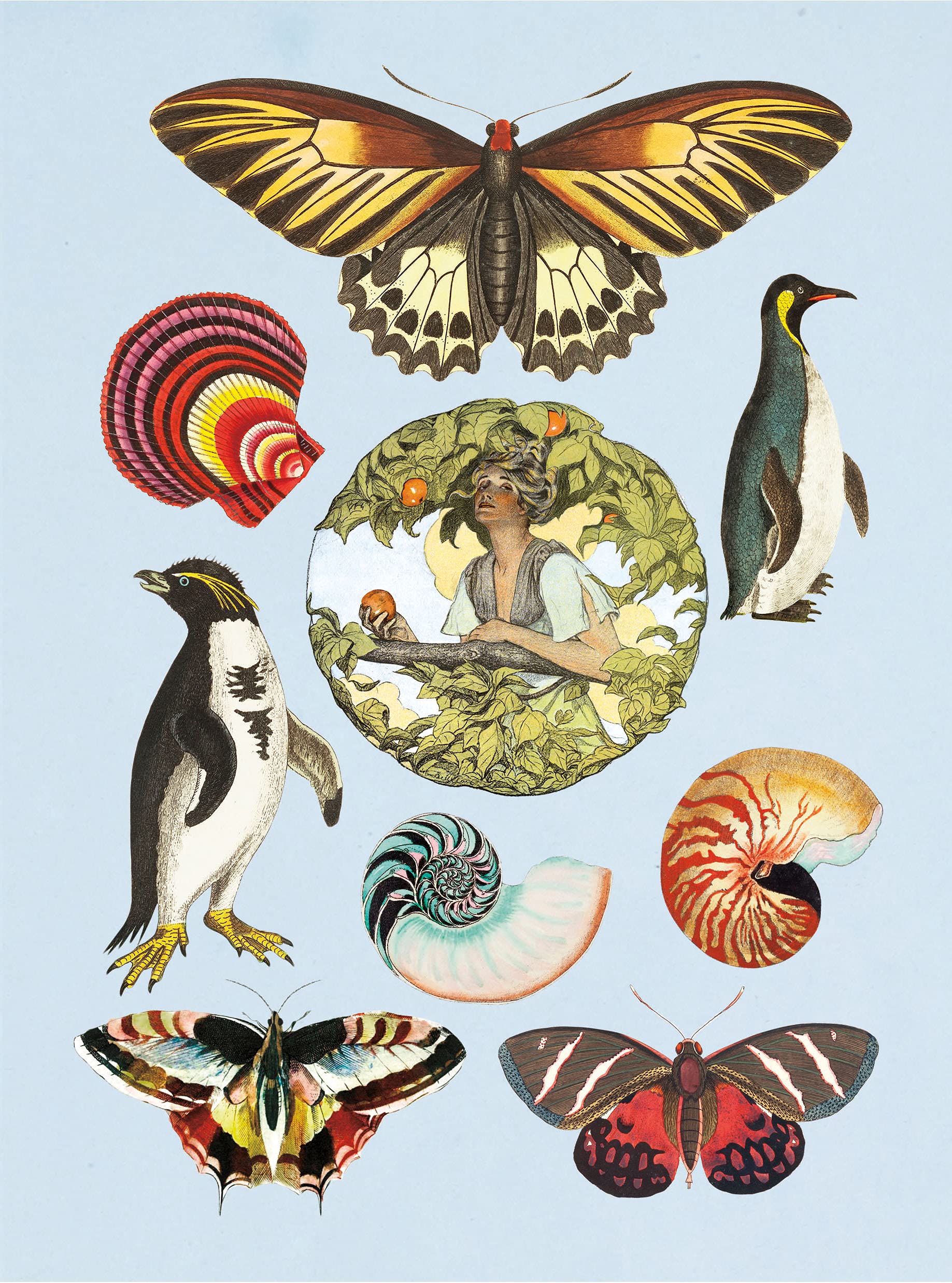 the antiquarian sticker book: over 1,000 exquisite victorian stickers