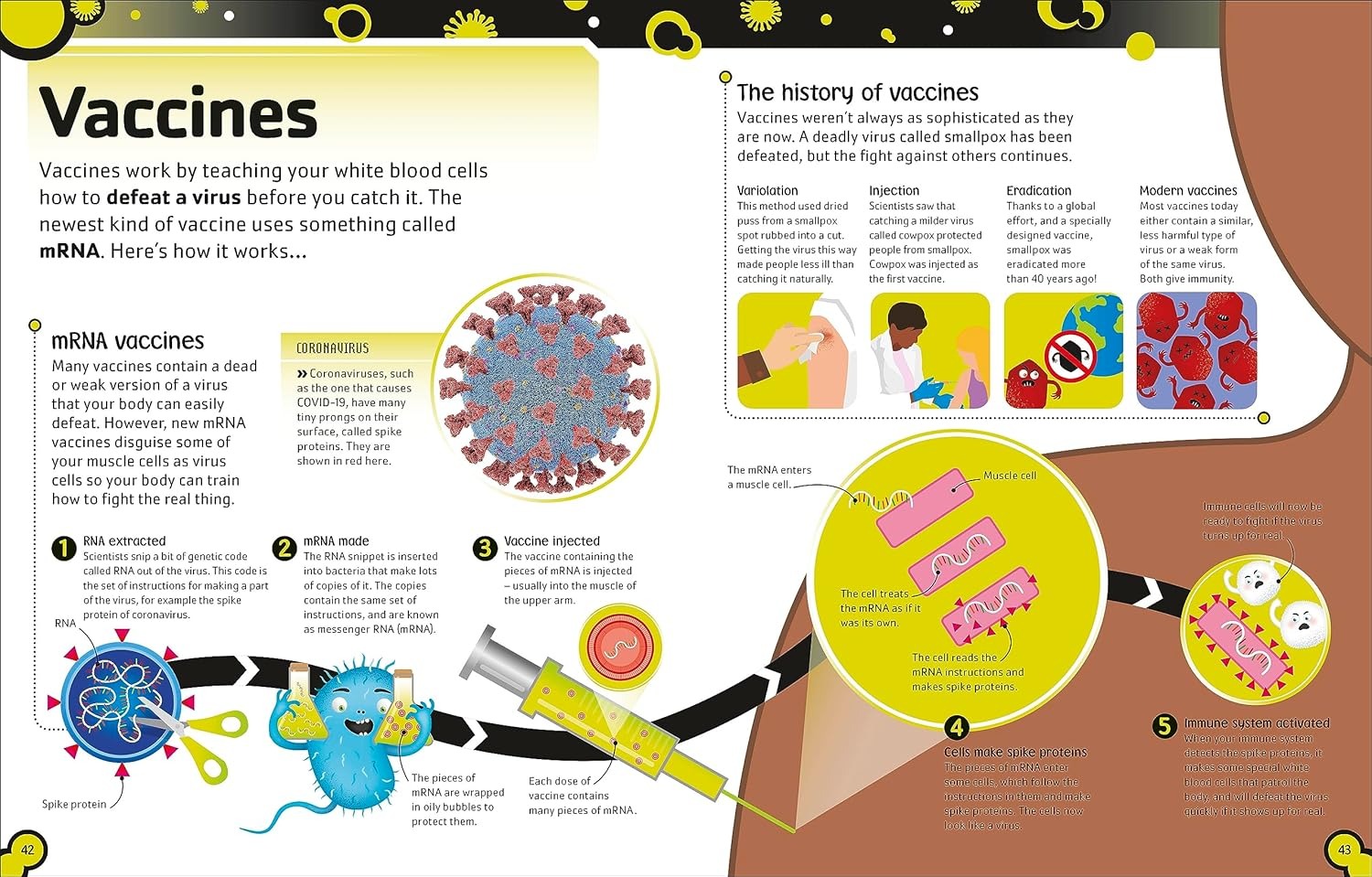 the bacteria book (new edition)
