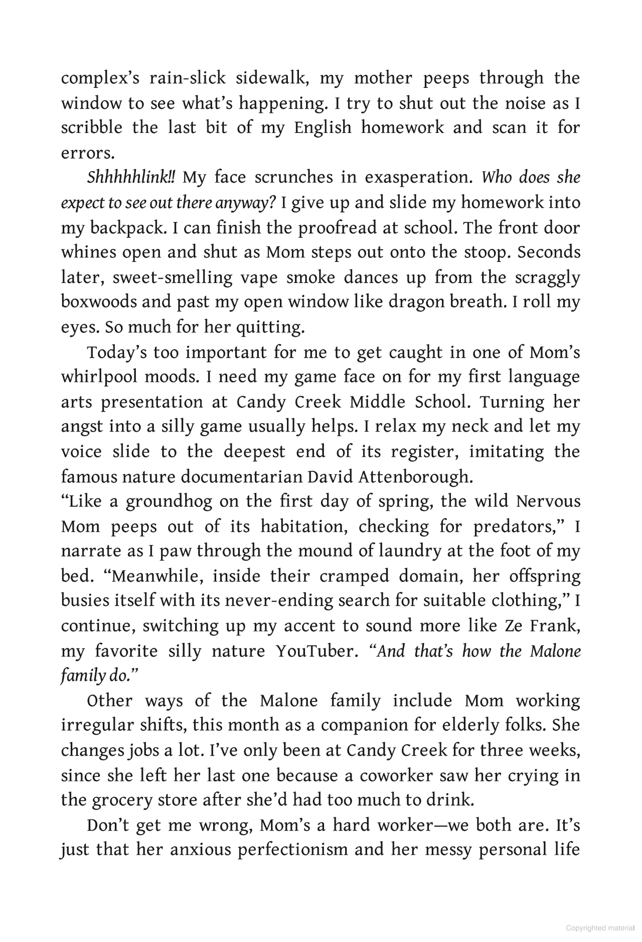 the beautiful something else