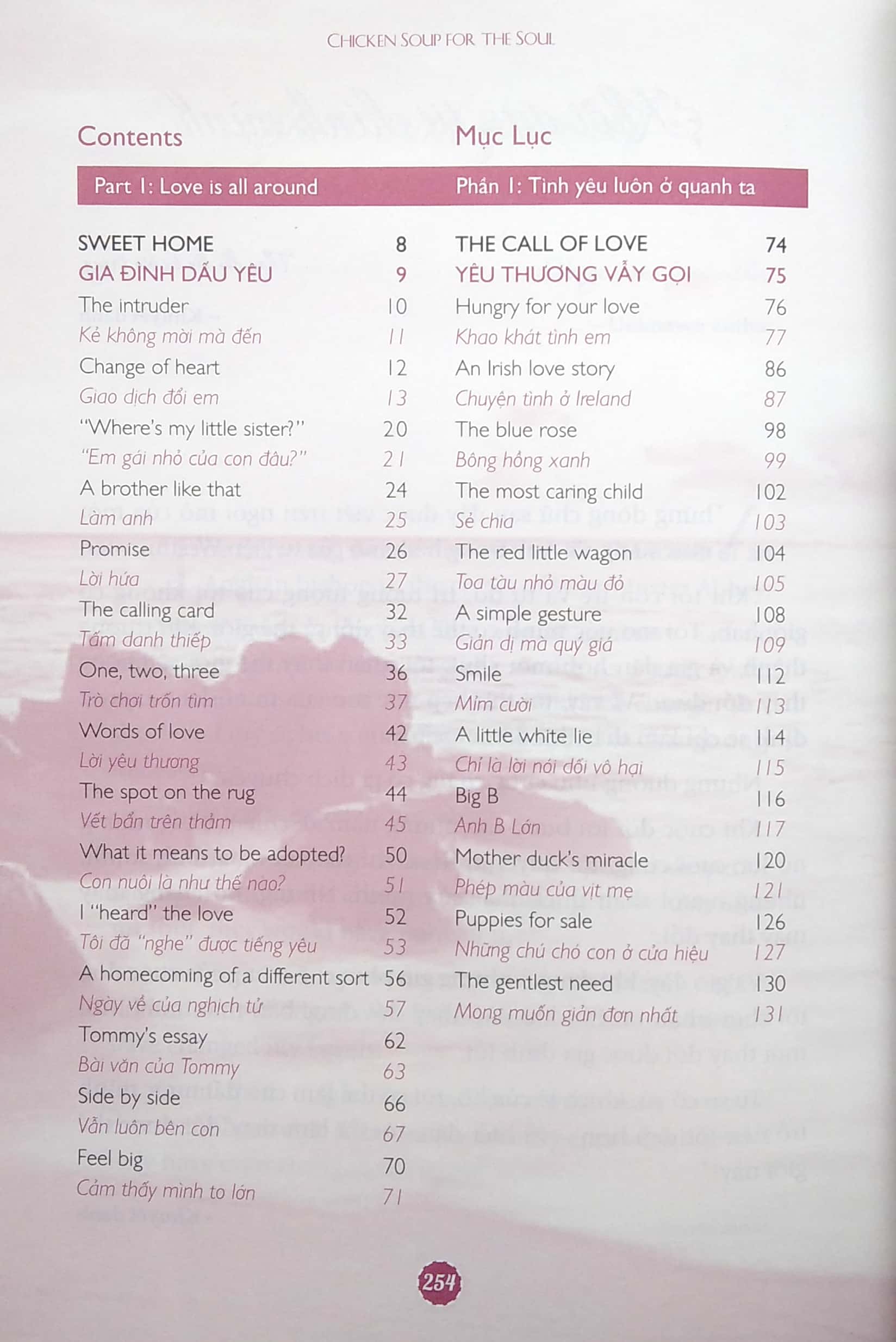 the best of chicken soup for the soul - tuyển tập những câu chuyện hay nhất (song ngữ anh việt)