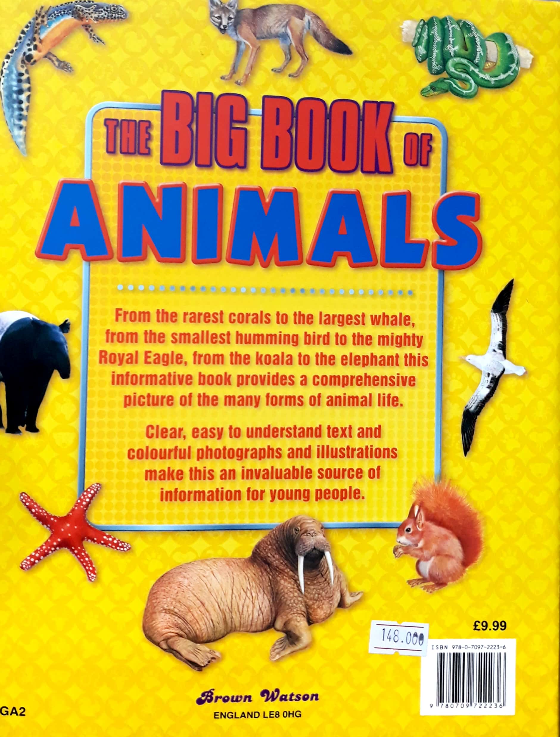 the big book of animals