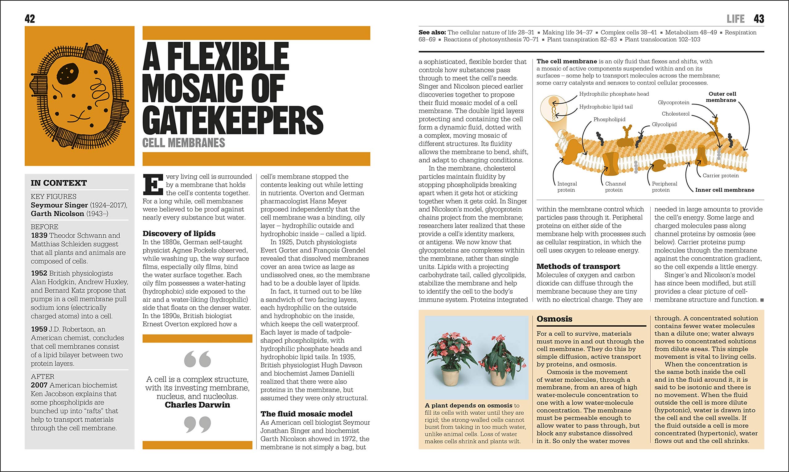 the biology book: big ideas simply explained