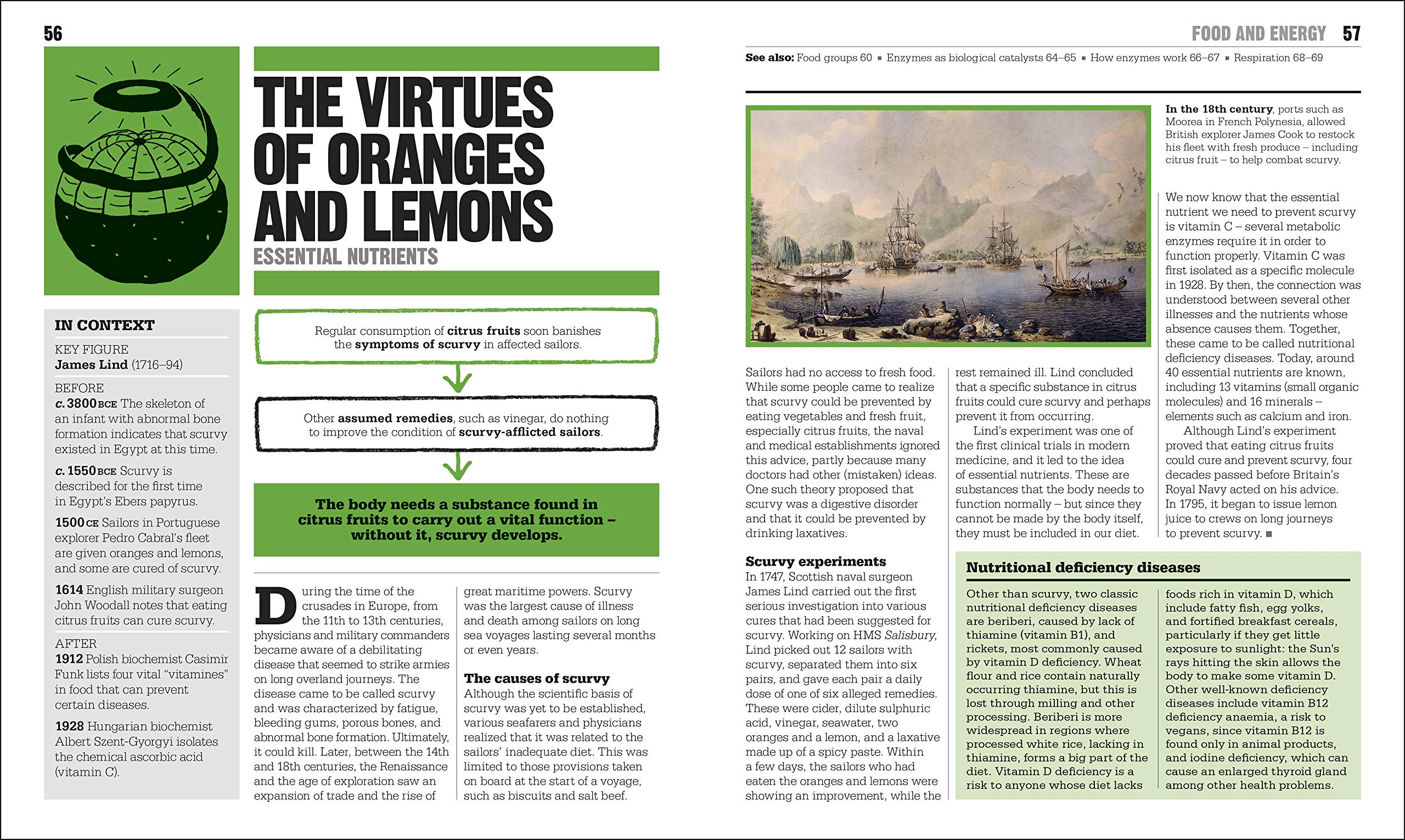 the biology book: big ideas simply explained