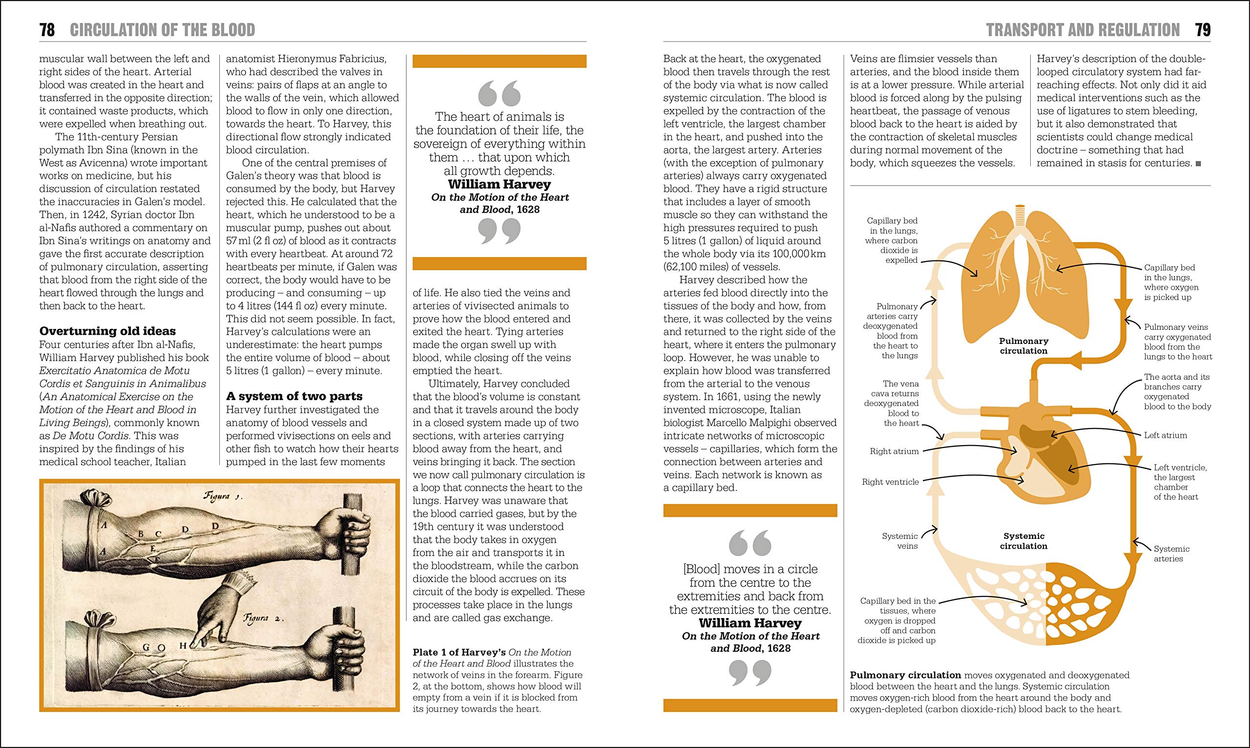 the biology book: big ideas simply explained