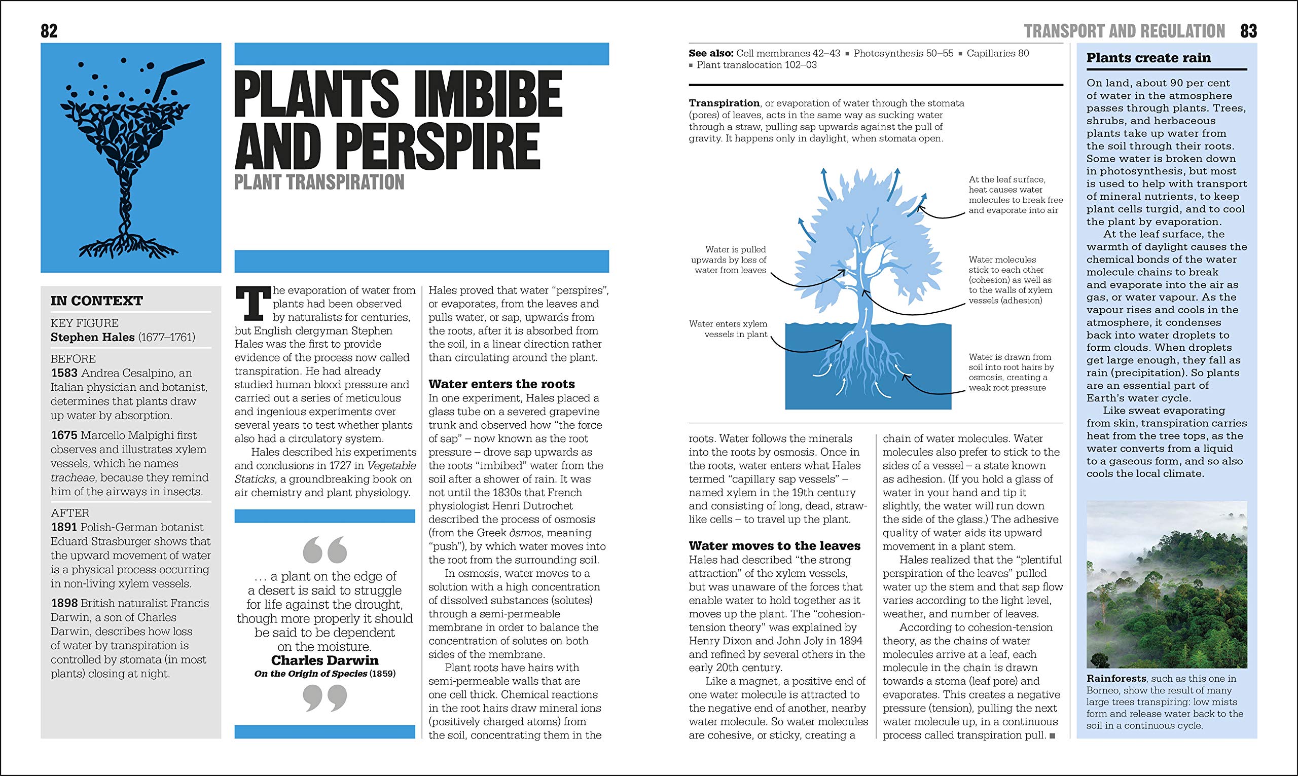 the biology book: big ideas simply explained