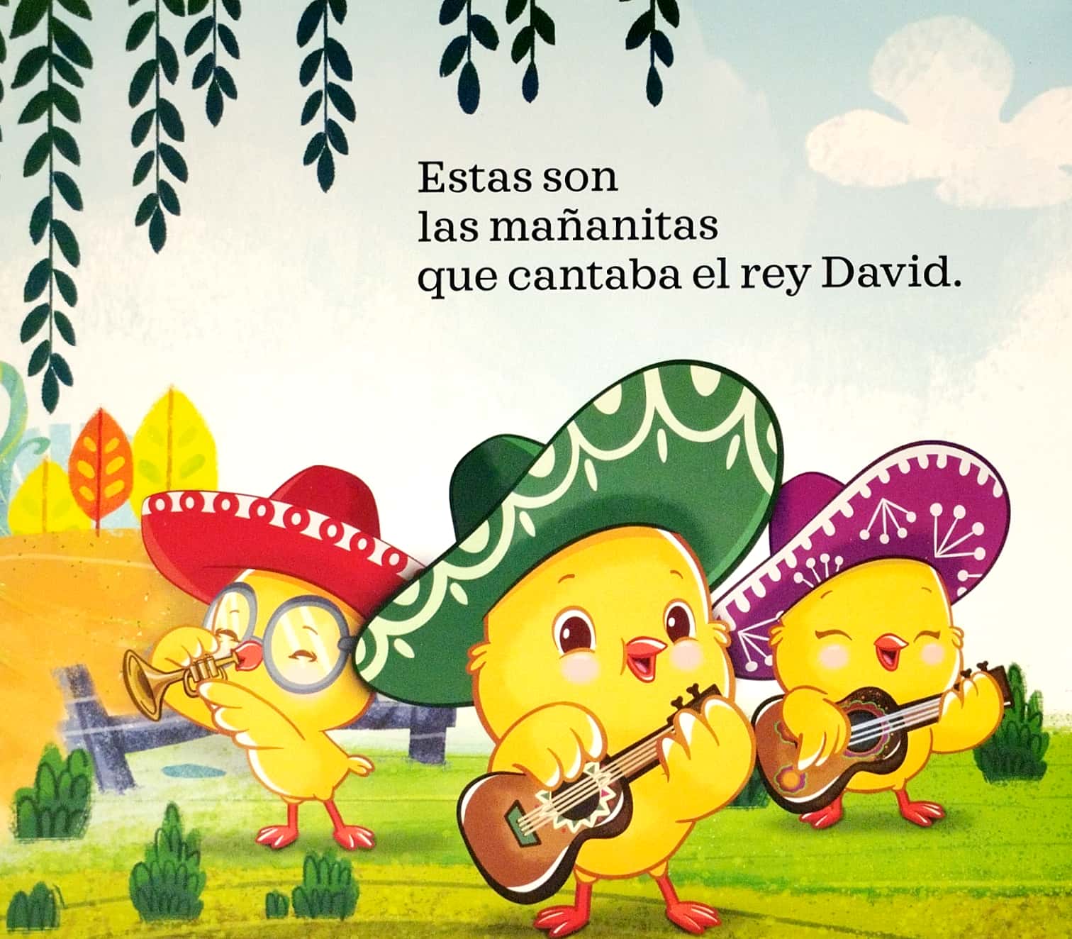 the birthday book / las mañanitas: bilingual nursery rhymes