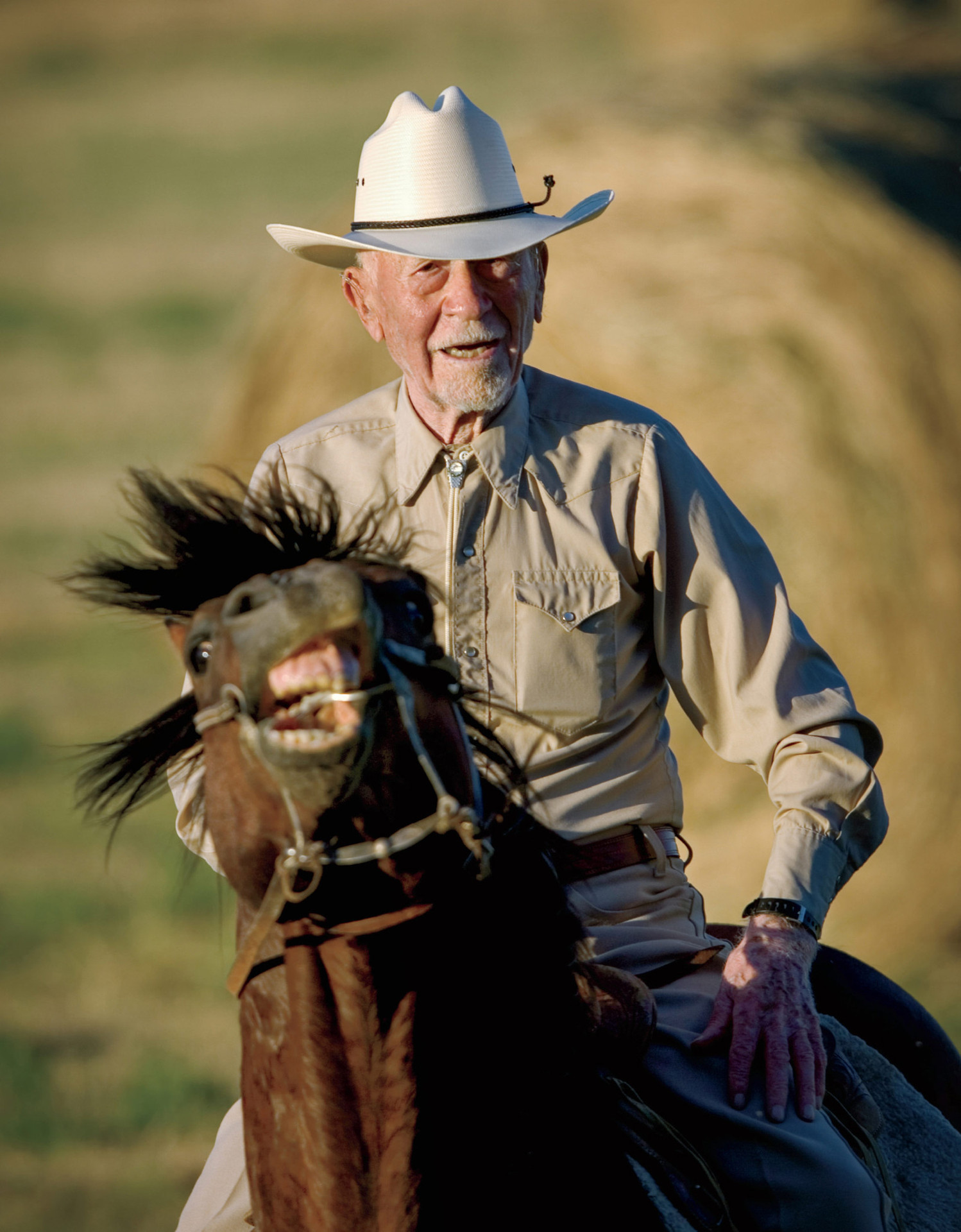 the blue zones secrets for living longer