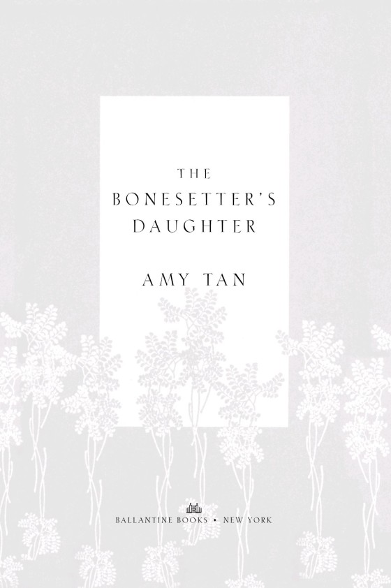 the bonesetter's daughter