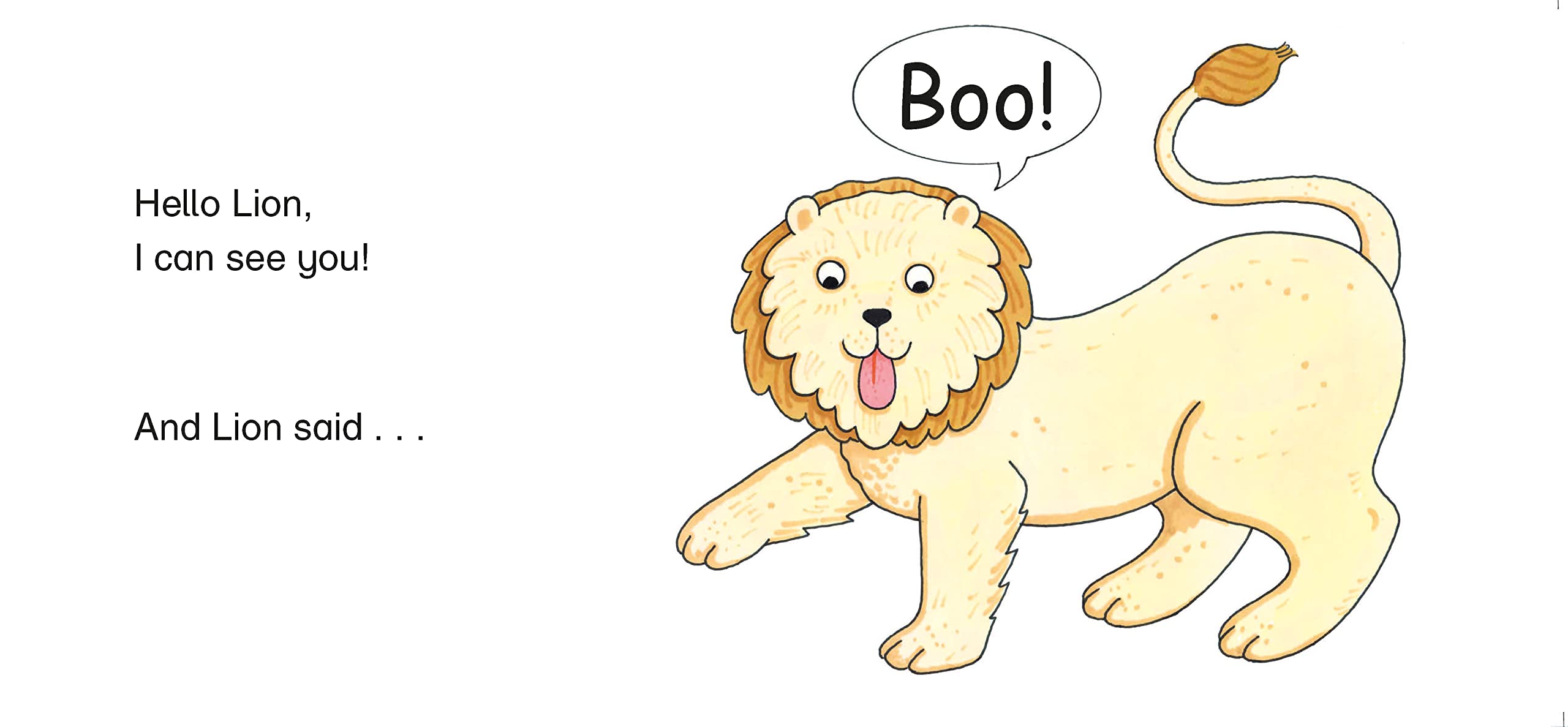 the boo zoo : a peekaboo lift the flap book