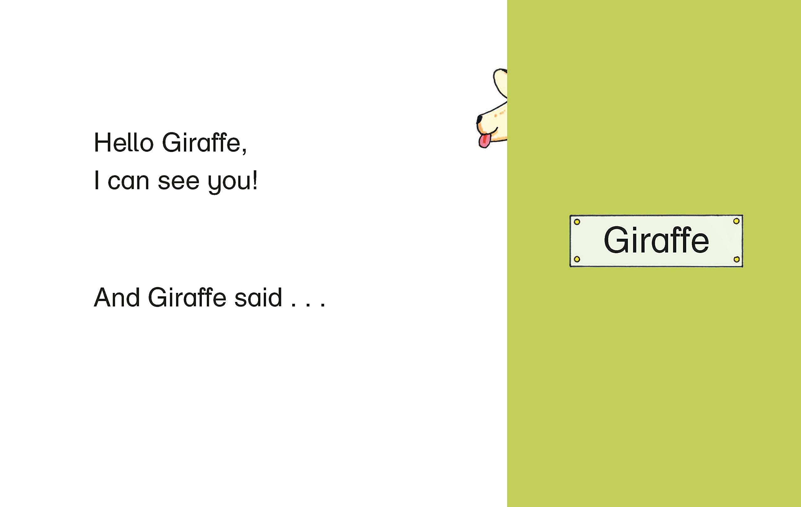 the boo zoo : a peekaboo lift the flap book