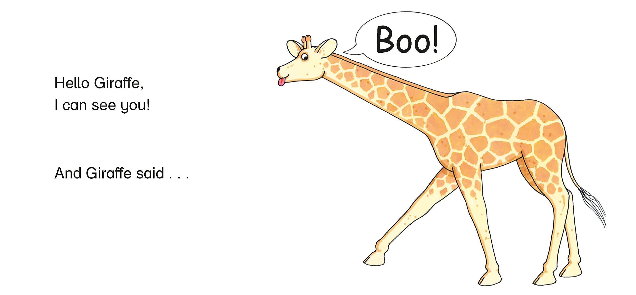 the boo zoo : a peekaboo lift the flap book