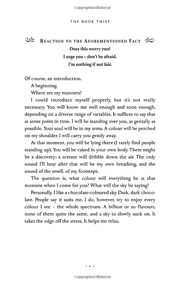 the book thief (definitions young adult)