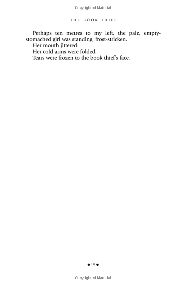 the book thief (movie tie-in)