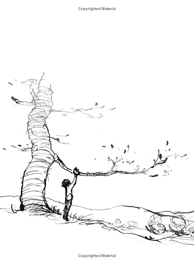 the boy, the mole, the fox and the horse