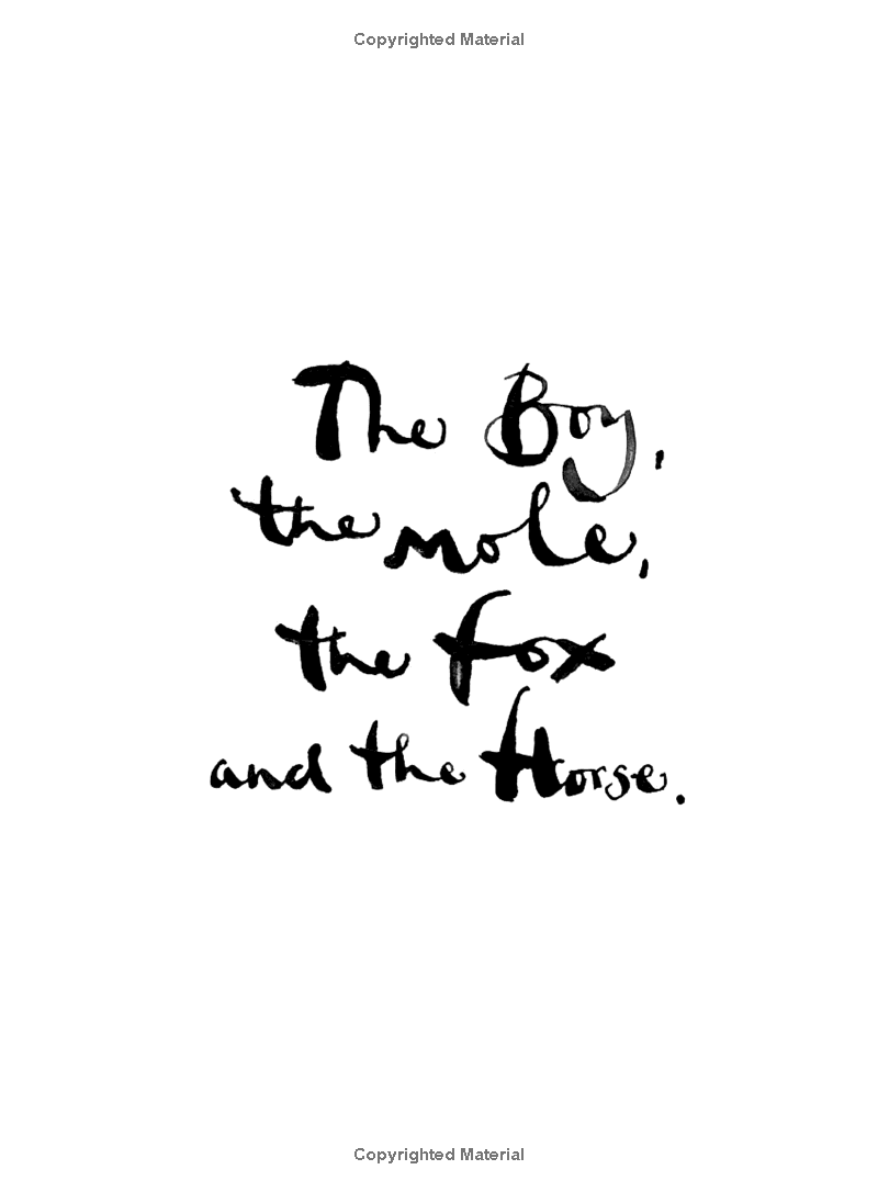 the boy, the mole, the fox and the horse