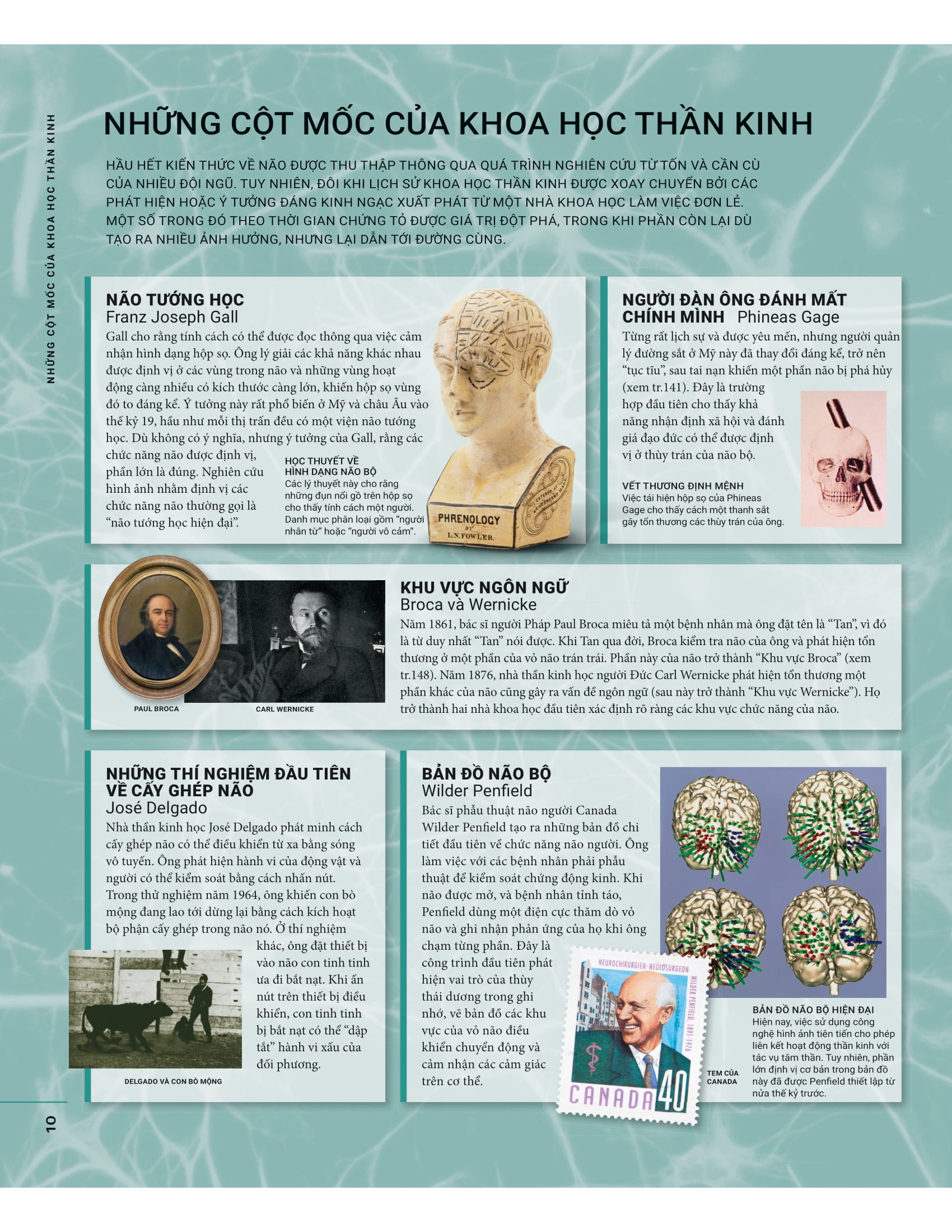 the brain book - não chúng ta có gì và làm gì? - bìa cứng