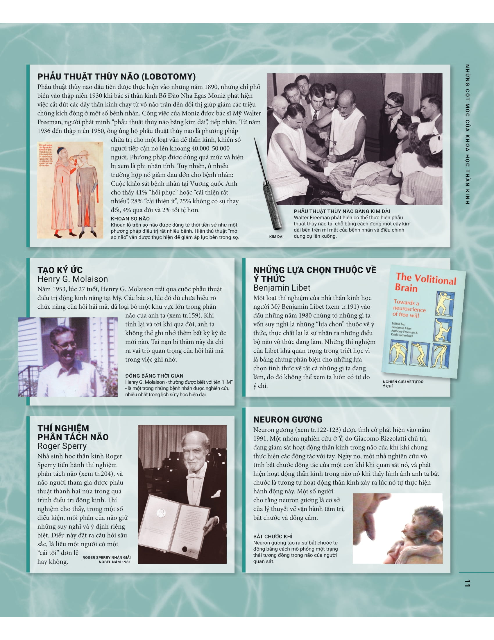 the brain book - não chúng ta có gì và làm gì? - bìa cứng