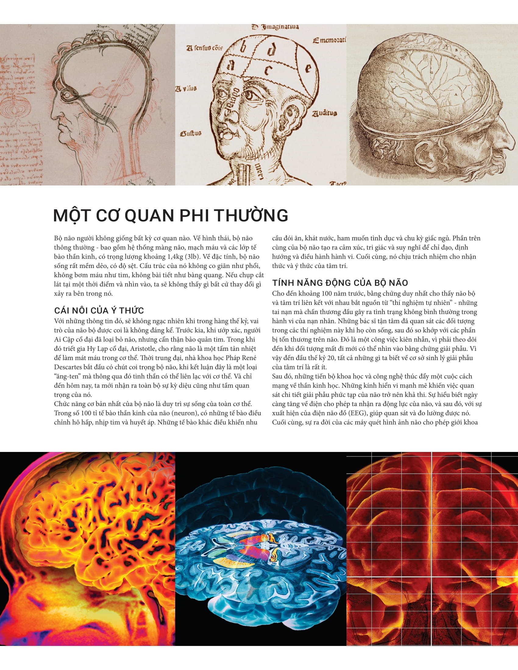 the brain book - não chúng ta có gì và làm gì? - bìa cứng