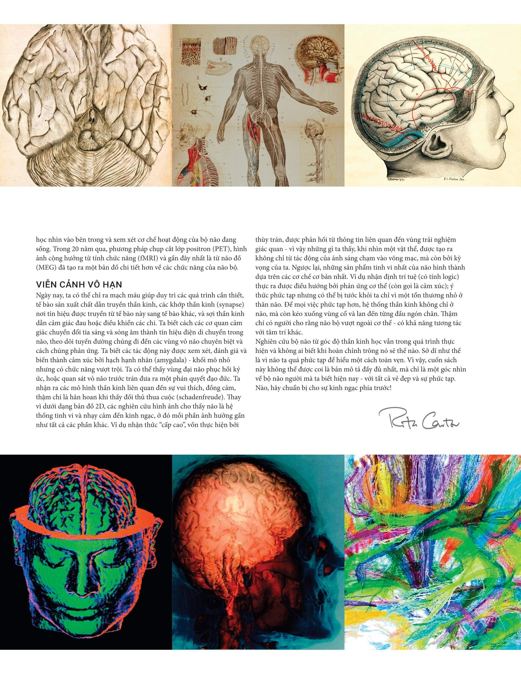 the brain book - não chúng ta có gì và làm gì? - bìa cứng