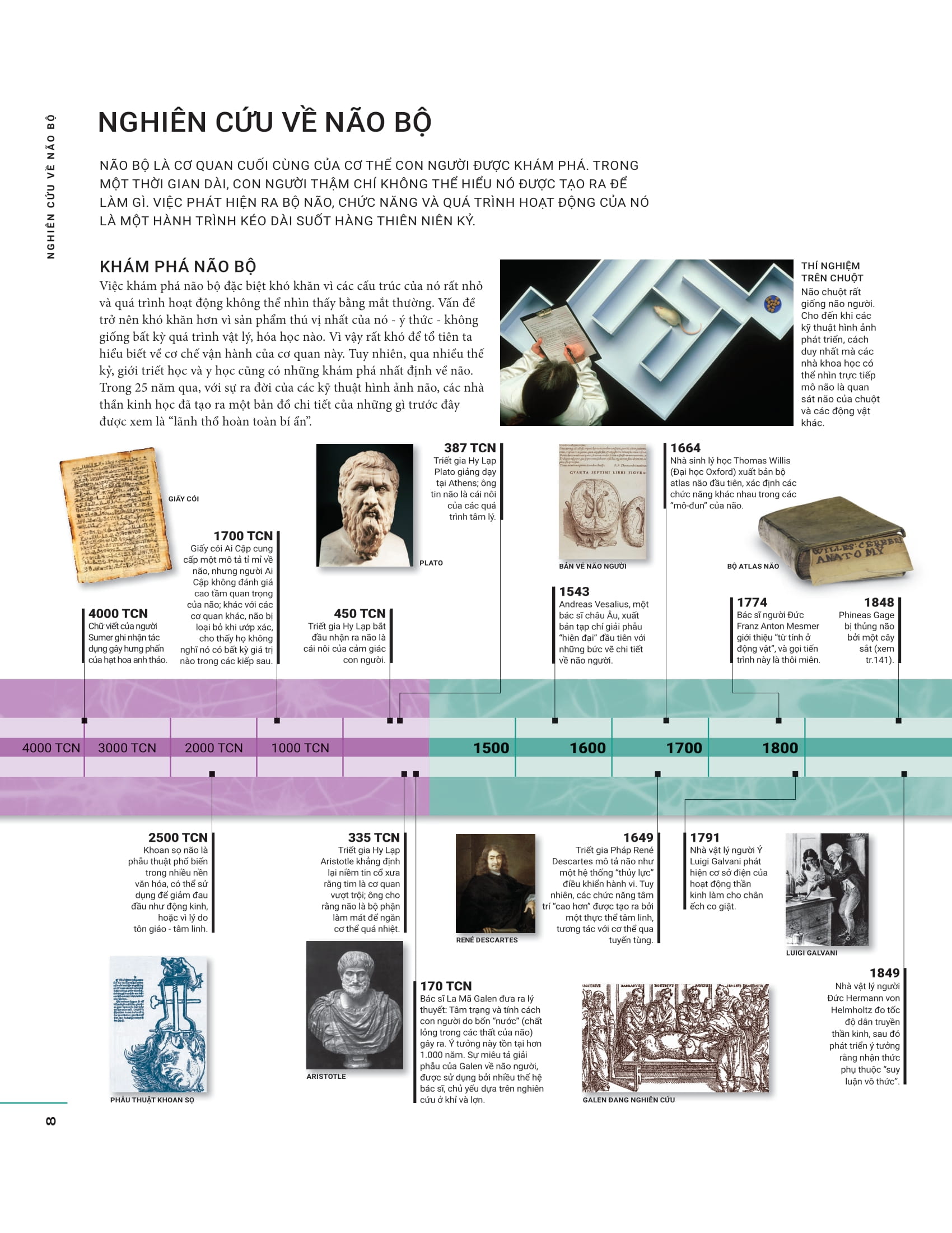 the brain book - não chúng ta có gì và làm gì? - bìa cứng