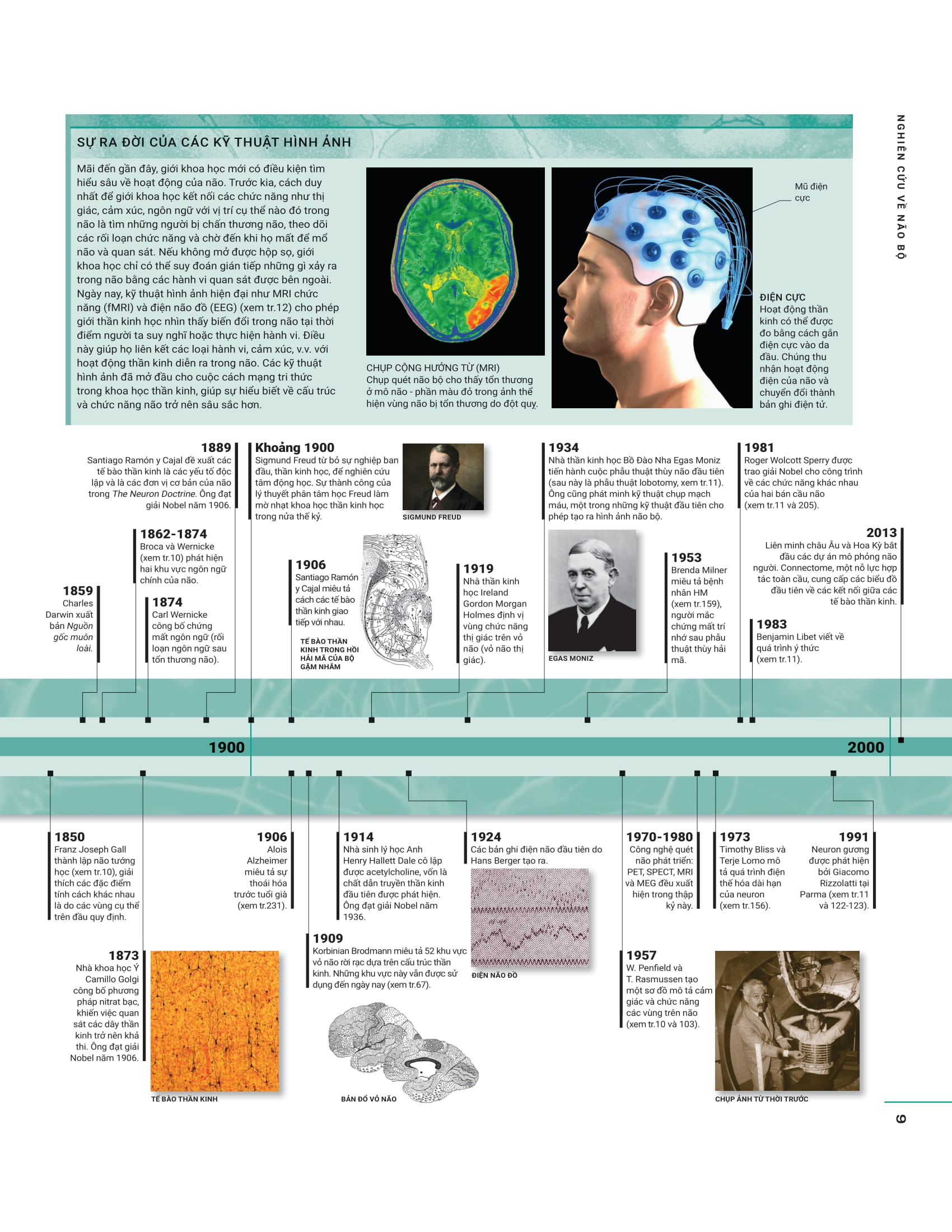 the brain book - não chúng ta có gì và làm gì? - bìa cứng