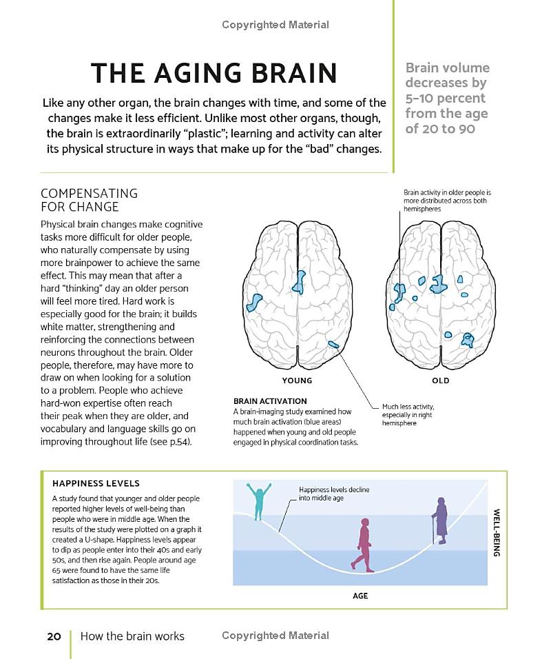 the brain fitness book: activities and puzzles to keep your mind active and healthy