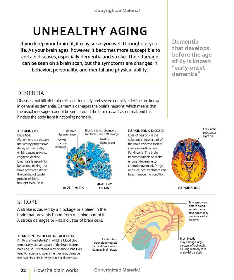 the brain fitness book: activities and puzzles to keep your mind active and healthy