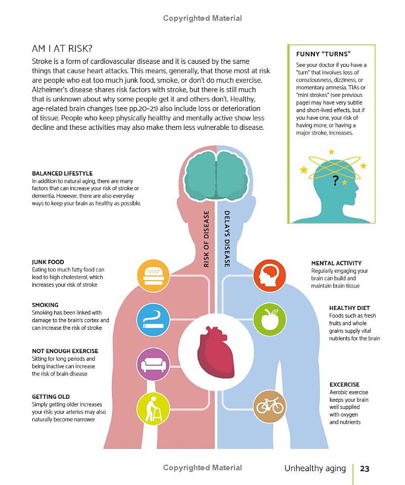 the brain fitness book: activities and puzzles to keep your mind active and healthy