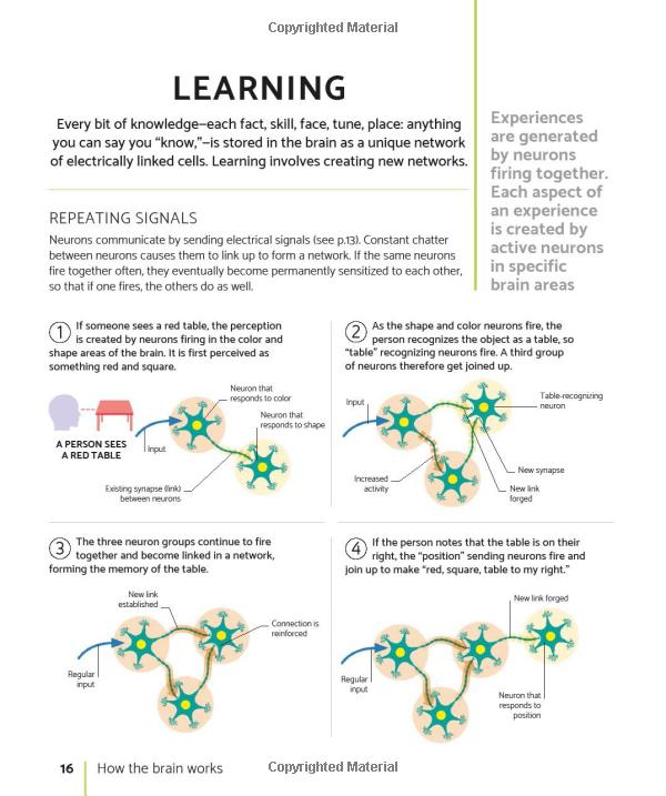 the brain fitness book: activities and puzzles to keep your mind active and healthy