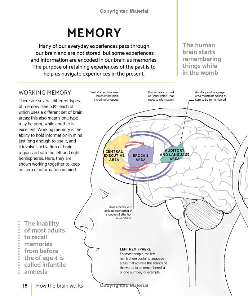 the brain fitness book: activities and puzzles to keep your mind active and healthy
