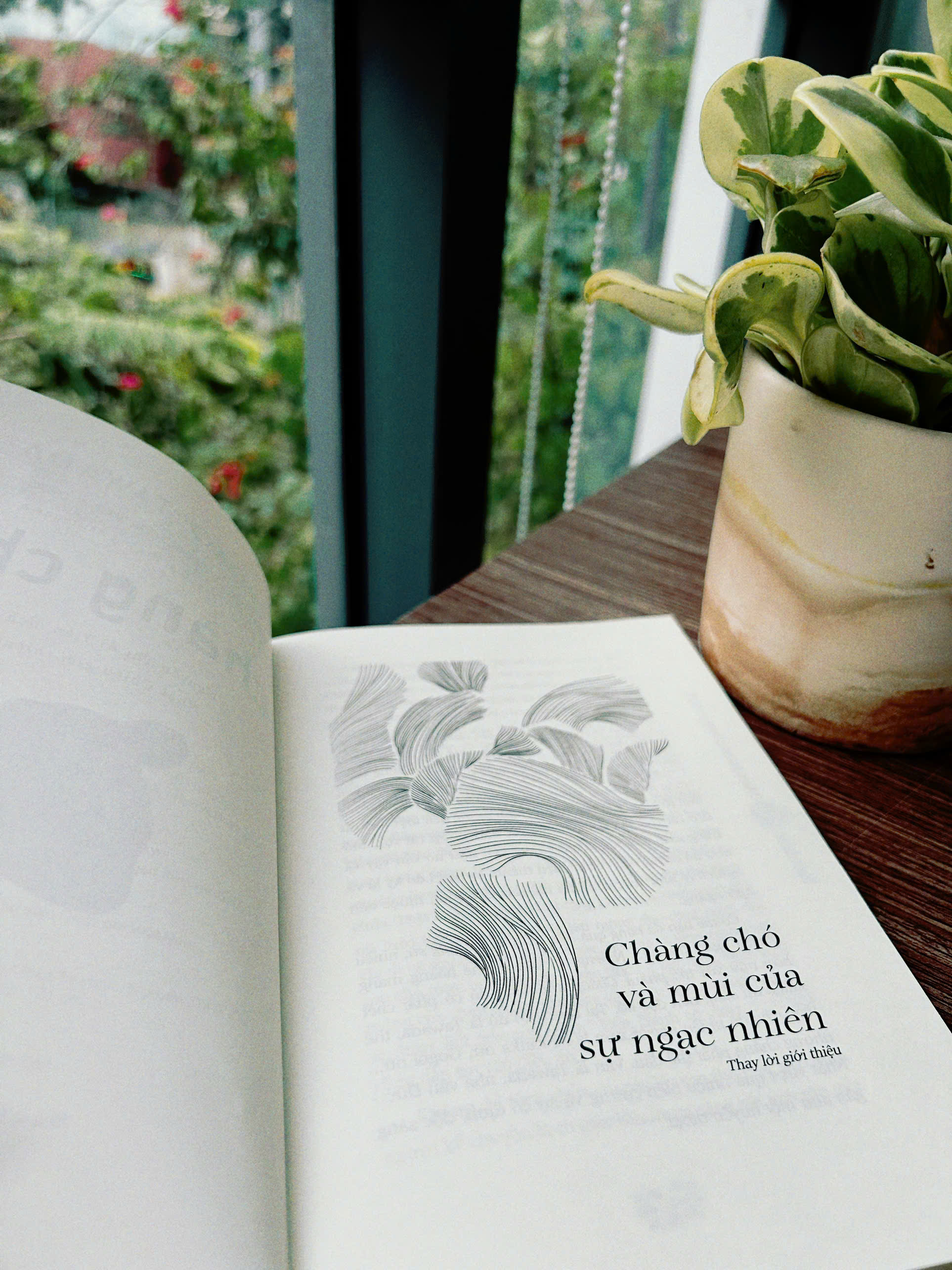 the bridegroom was a dog - chàng chó