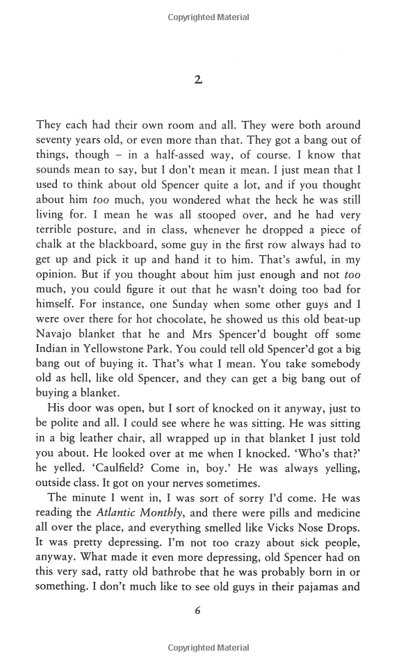 the catcher in the rye