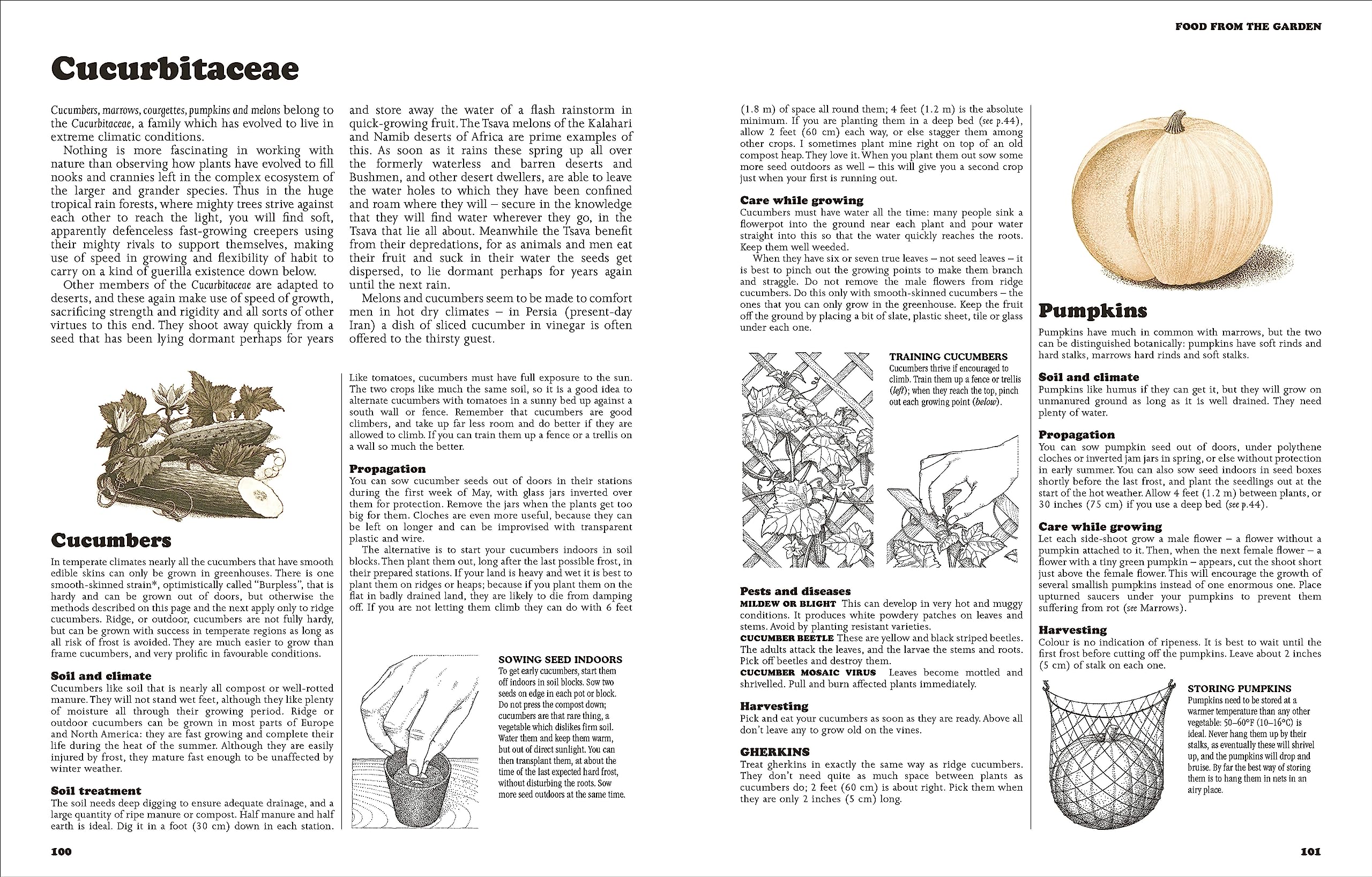 The Complete Book Of Self-Sufficiency - The Classic Guide For Realists And Dreamers