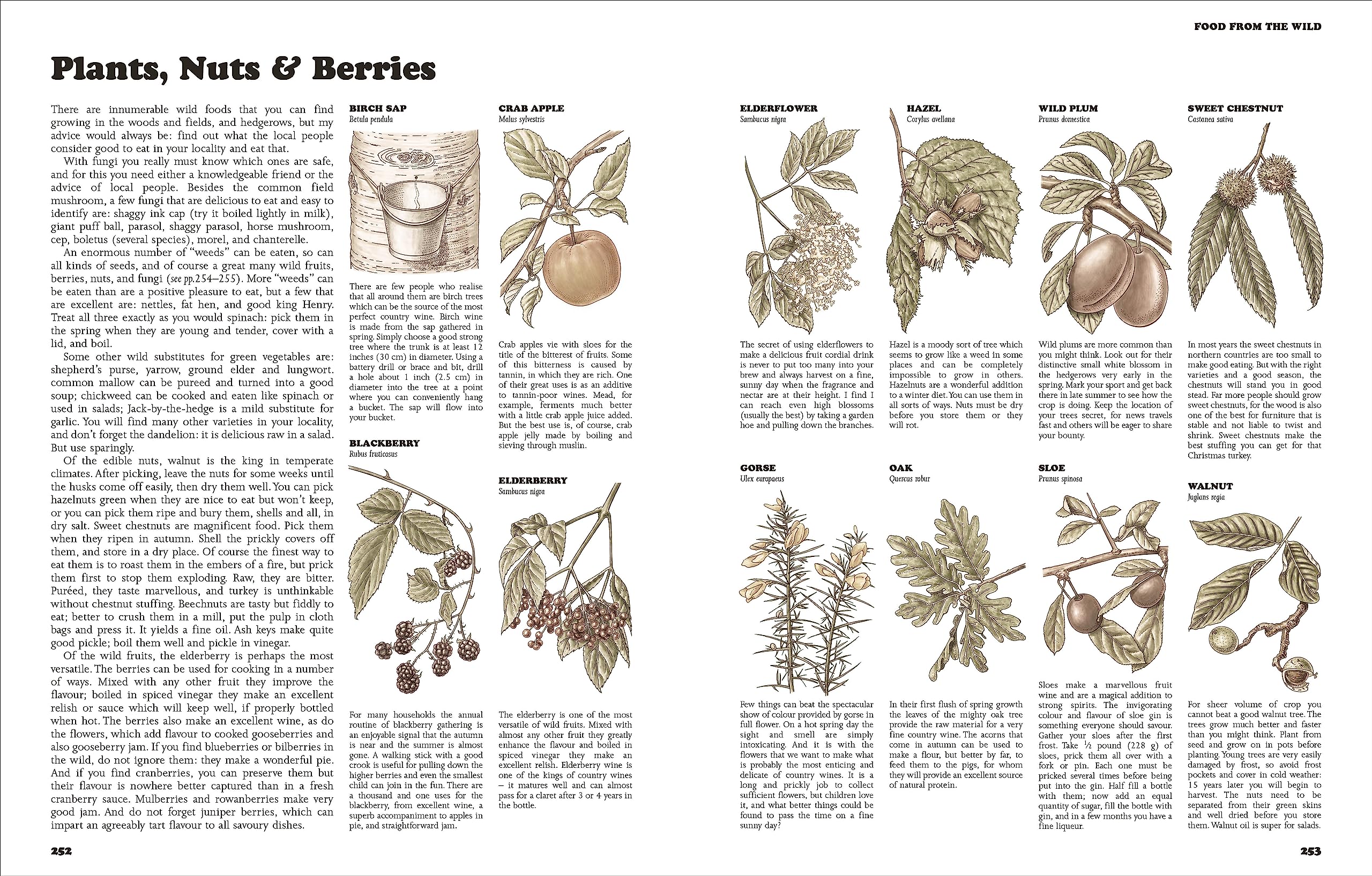 The Complete Book Of Self-Sufficiency - The Classic Guide For Realists And Dreamers