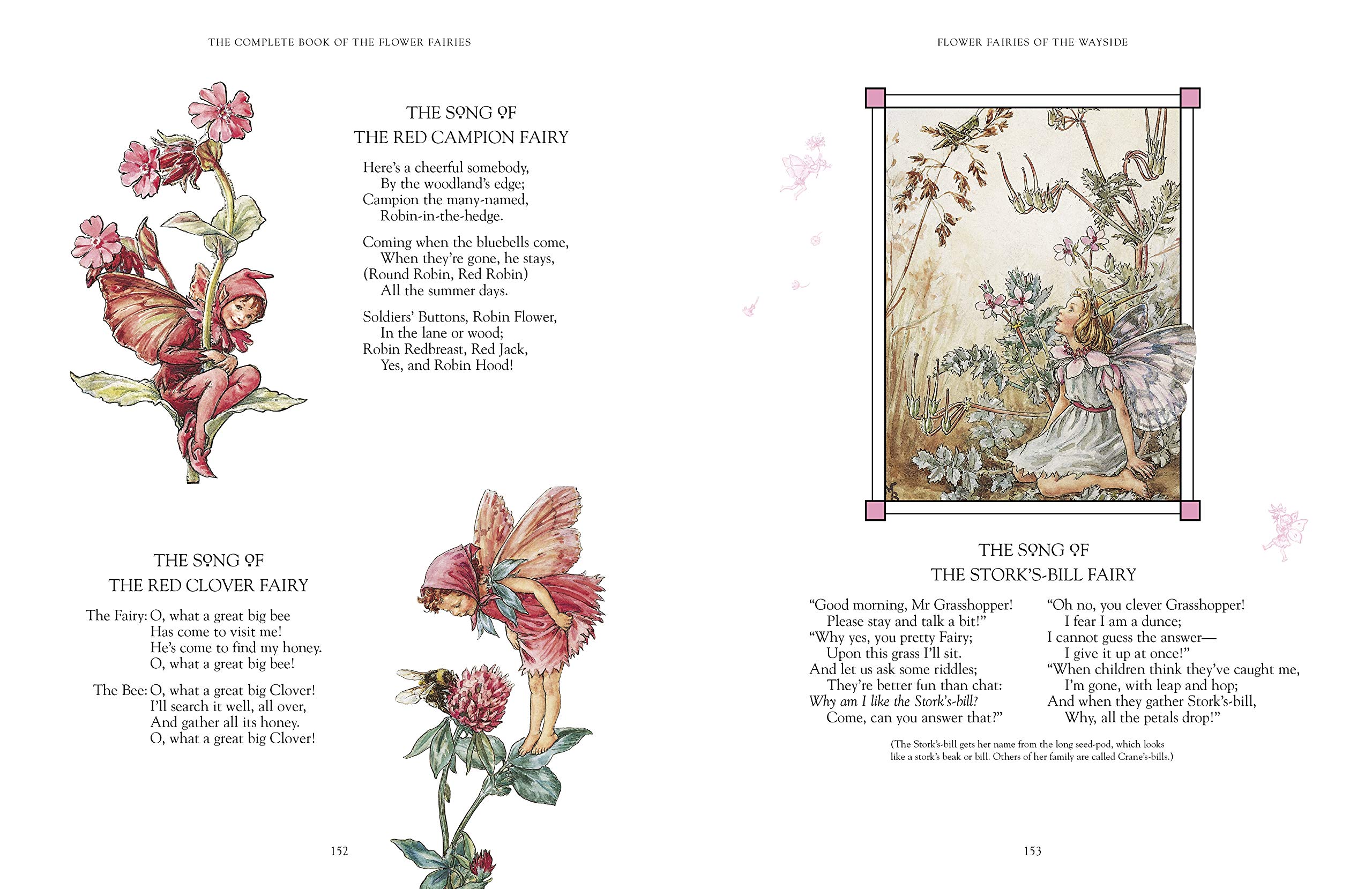 the complete book of the flower fairies