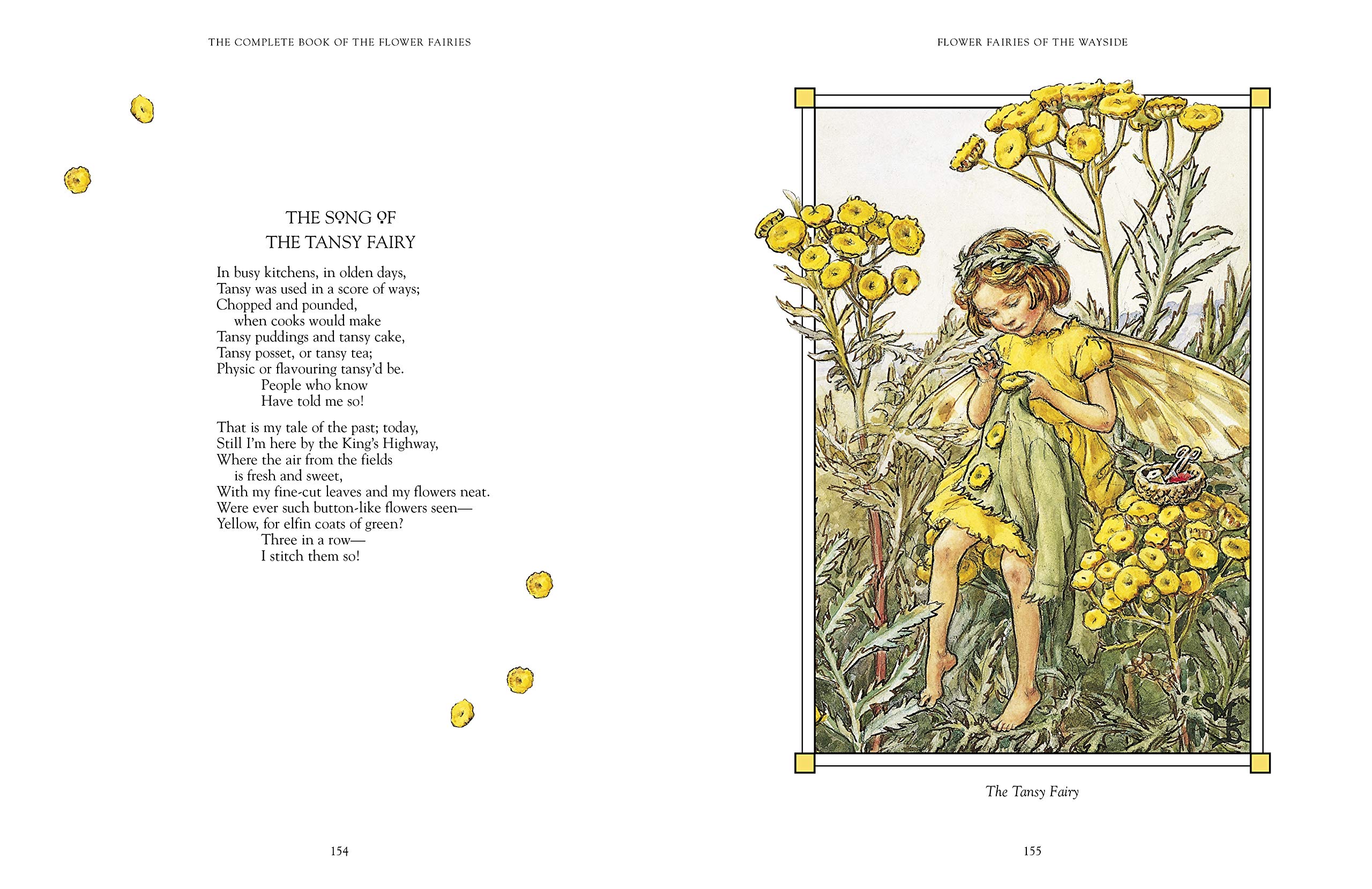 the complete book of the flower fairies