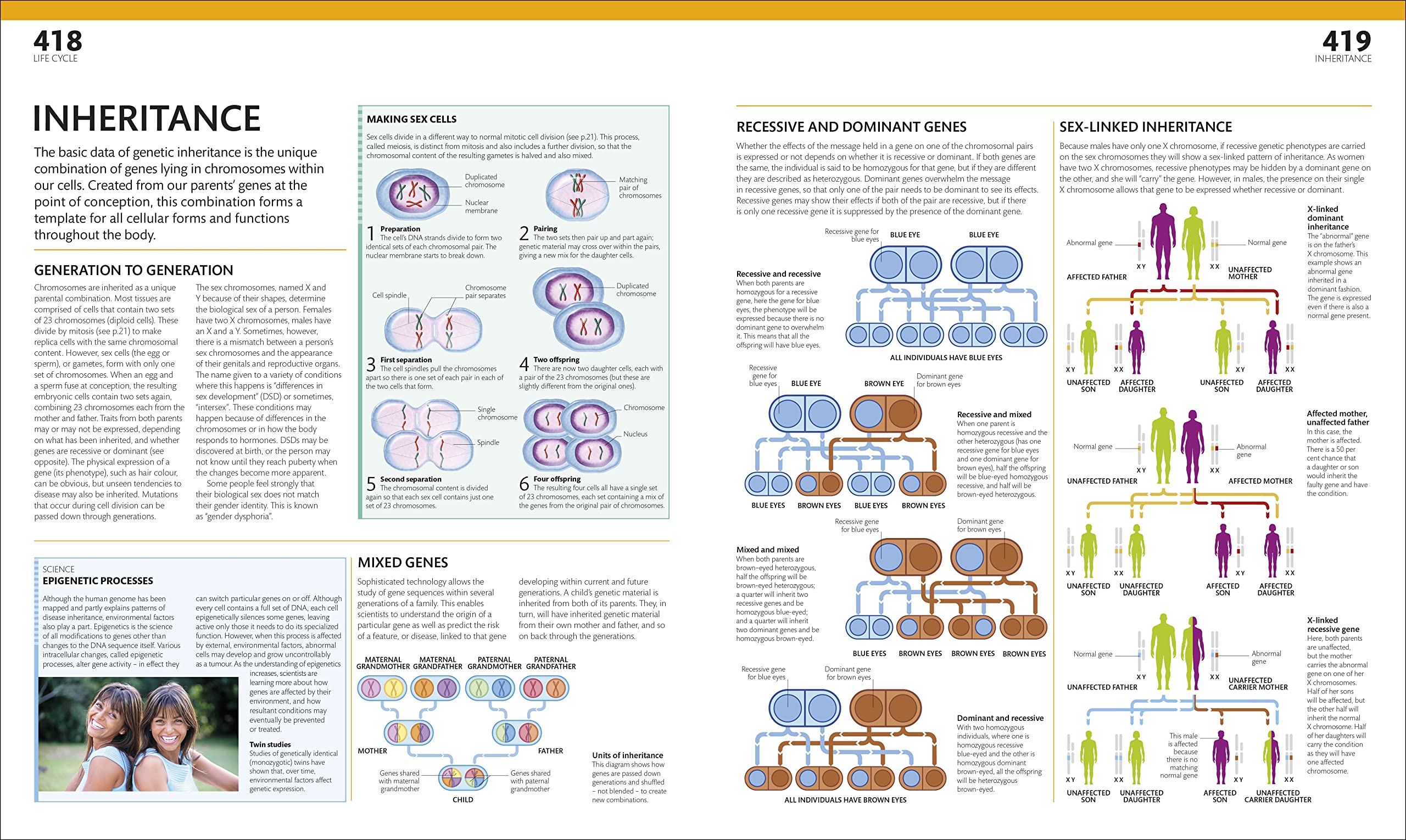 the complete human body -the definitive visual guide