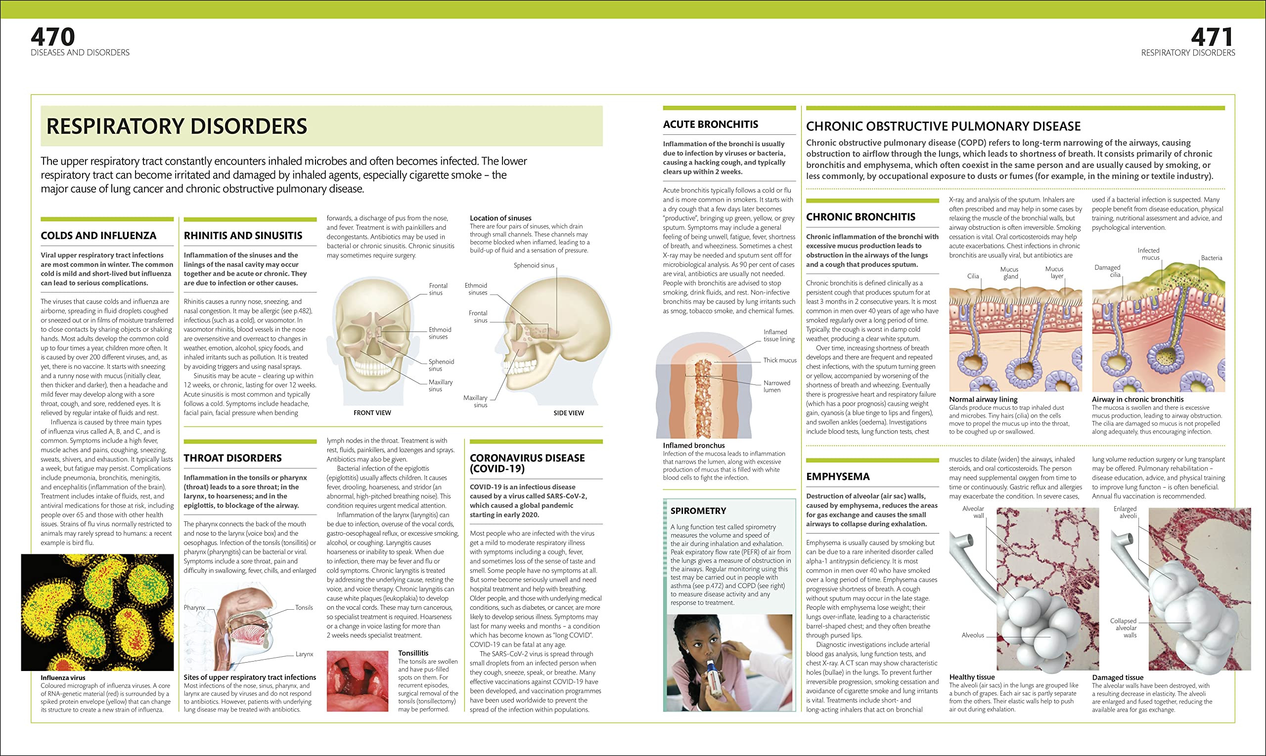 the complete human body -the definitive visual guide