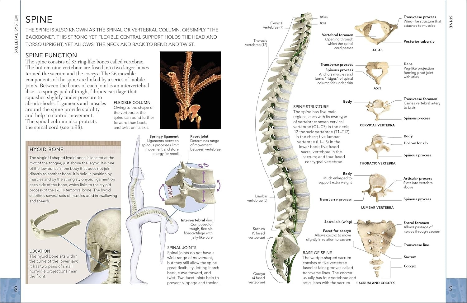 the concise human body book