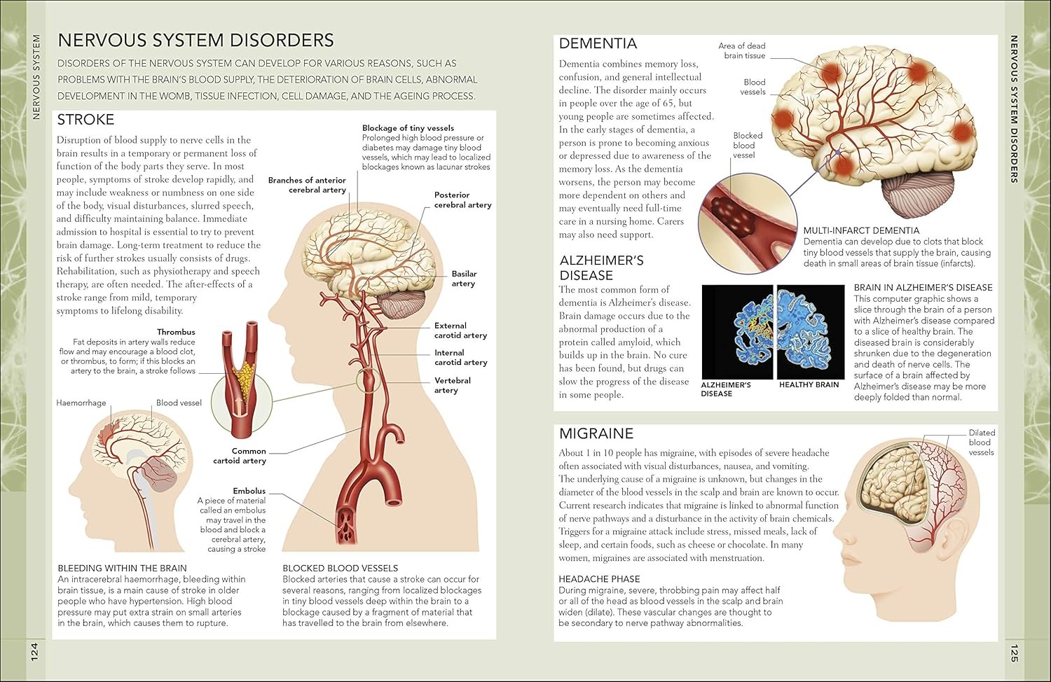 the concise human body book