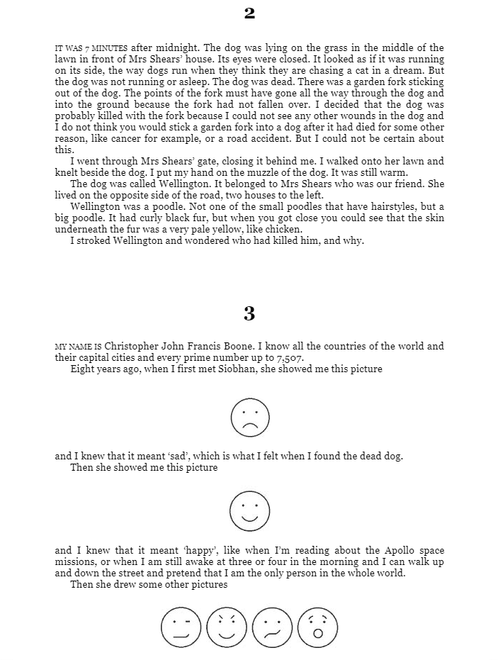 the curious incident of the dog in the night-time : vintage children's classics