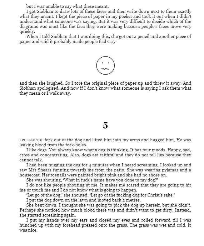 the curious incident of the dog in the night-time : vintage children's classics