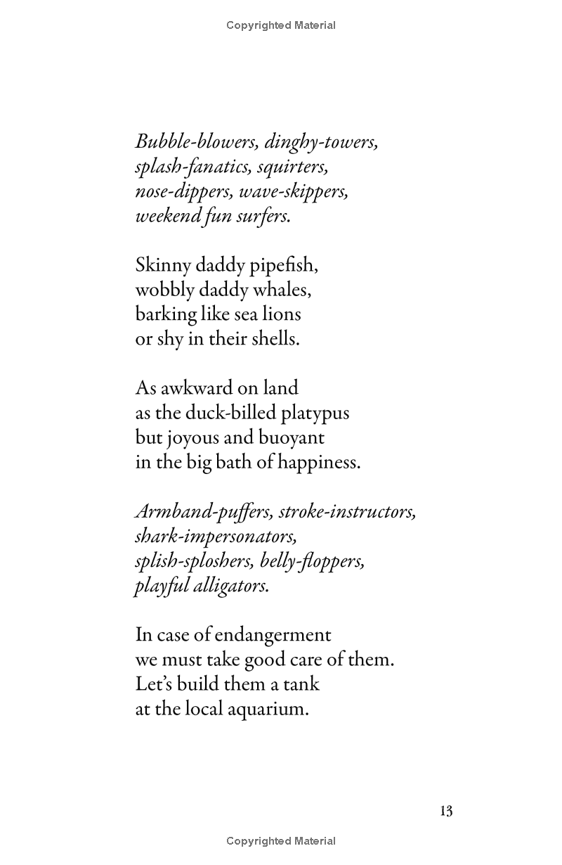 the dictionary of dads