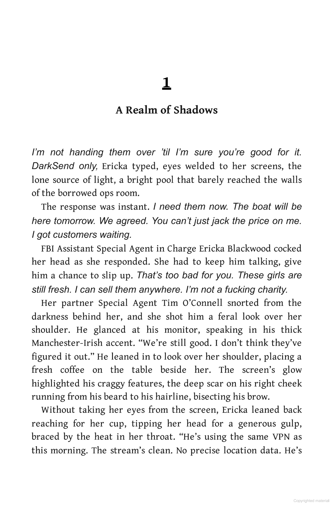 the ericka blackwood files - hacker